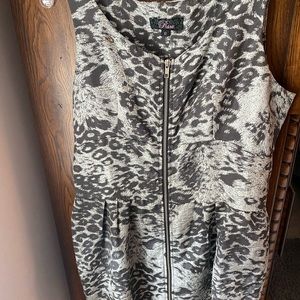 Size 12 Zebra Dress